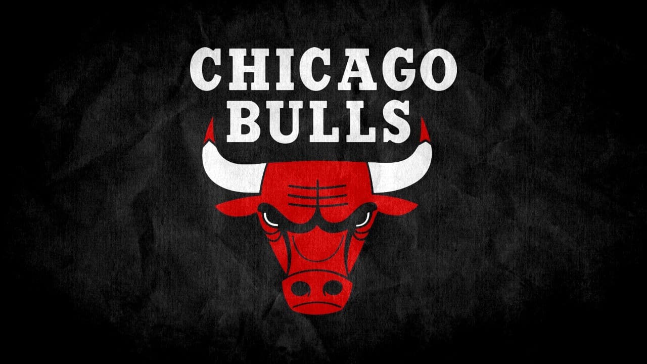 Chicago Bulls fanart 1