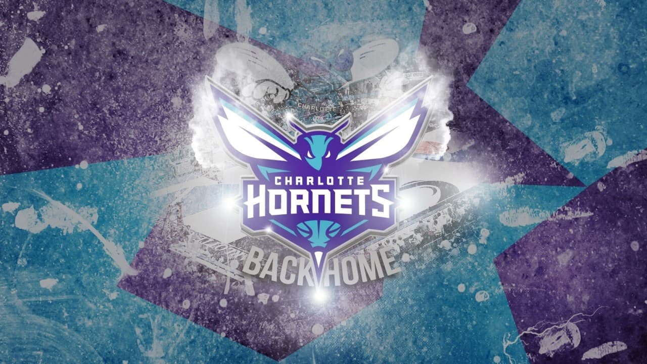 Charlotte Hornets fanart 1