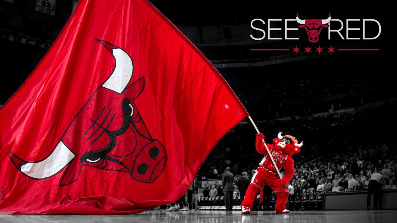 Chicago Bulls fanart 2